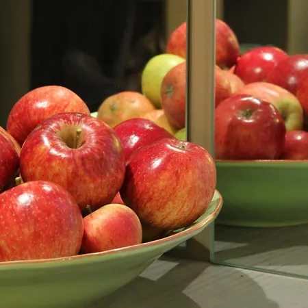 מלון Historik Garni Christinenhof 3*