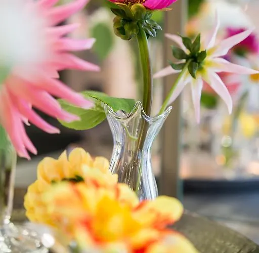 Otel Historik Garni Christinenhof Hamelin